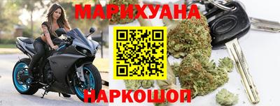 гашик Камышлов