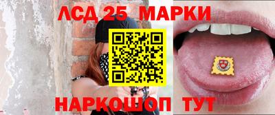 шишки Кандалакша