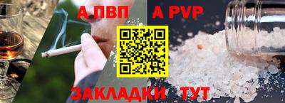 шишки Кандалакша